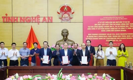 Doanh nghiệp Trung Quốc 'rót' 450 triệu USD sản xuất pin mặt trời 