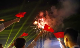 Pháo hoa rực rỡ tại khai mạc Lễ hội Làng Sen năm 2025