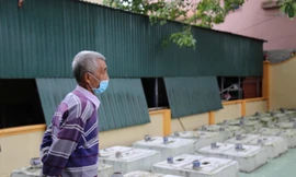 Tận thấy nơi yên nghỉ của 100 'ngài' cá Ông