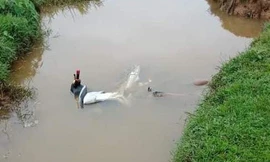 Đi bắt cua, phát hiện nam thanh niên tử vong dưới mương nước