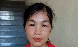 Nữ quái sa vào ma trận tiền ảo, lừa đảo chiếm đoạt hơn 8 tỷ đồng