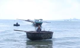 Kiếm tiền triệu mỗi ngày từ nghề đi thuyền thúng