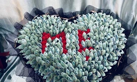 Hoa tươi tăng giá gấp 3 lần, hoa ‘tiền thật’ hút khách ngày 8/3