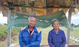 Lão nông bị phá nát ruộng dưa nhờ người viết đơn xin tha cho thủ phạm