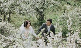 Đồi hoa mận trắng đẹp ngỡ ngàng nơi cổng trời xứ Nghệ