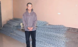 Bắt đối tượng cắt trộm 100 tấm lưới B40 bảo vệ cao tốc Bắc - Nam