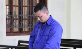 Lừa người khác góp vốn mua đất rồi chiếm đoạt tiền tỷ