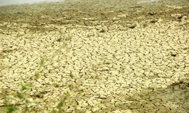 Nhiều hồ, đập tại Nghệ An về sát mực nước chết