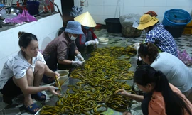 Làm giàu nhờ nghề sơ chế lươn đồng 