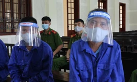 Hám lợi 20 triệu đồng, hai cha con lĩnh 40 năm tù