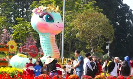 Chen chân check-in với linh vật rắn ở đường hoa 