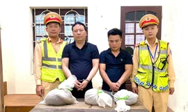 Bắt hai đối tượng vận chuyển động vật nguy cấp, quý hiếm