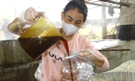 Làng mật mía tranh thủ từng phút chạy đua đơn hàng Tết