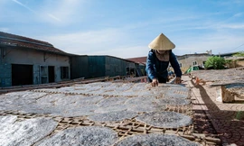 'Bánh đa xúc hến Đô Lương thơm lừng...'