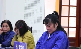 Chiêu lừa chiếm đoạt hơn 4 tỷ đồng của nữ giám đốc 