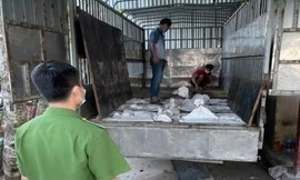 Chế khoang ngầm vận chuyển trái phép hơn chục tấn quặng thiếc