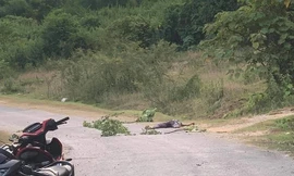 Truy tìm nghi phạm cứa cổ tài xế taxi đến chết rồi bỏ trốn