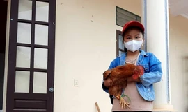 Bé 8 tuổi ôm một con gà, bao gạo, bí đỏ đến ủng hộ khu cách ly