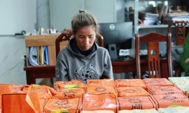 Vừa nhập cảnh vào Việt Nam, người phụ nữ Lào bị bắt cùng 30kg ma túy đá