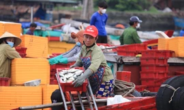 Nghệ An khẩn tìm người đến các địa điểm liên quan chùm ca nhiễm COVID-19 cộng đồng