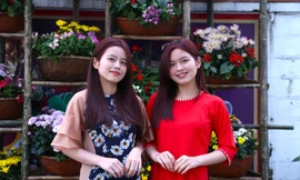 Rực rỡ sắc xuân trên thành Vinh ngày cuối năm 