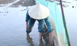 Người dân giăng lưới, đắp bờ chờ săn ‘lộc trời’