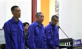 Bạn tù rủ nhau lập đường dây ma túy liên tỉnh