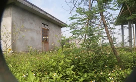 Nhà máy nước gần 20 tỷ đồng ở Nghệ An bị bỏ hoang, cỏ dại um tùm