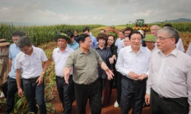 Thủ tướng Phạm Minh Chính thăm vùng sản xuất nông nghiệp công nghệ cao của Tập đoàn TH tại Nghệ An