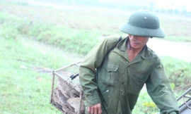 Nông dân 'bỏ túi' tiền triệu nhờ săn loài gặm nhấm này