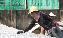 Đơn hàng tăng gấp 3, người dân làng bánh đa 'chạy đua' với Tết