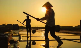 Đẹp ngỡ ngàng bình minh trên cánh đồng muối xứ Nghệ