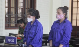 Rủ nhau buôn ma túy, đôi bạn trung niên lĩnh án