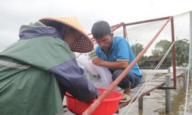 Ao hồ ngập nặng sau mưa lớn, nông dân khóc ròng vì hàng chục tấn tôm ‘mất trắng’