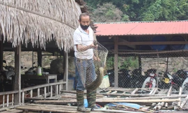 Thoát nghèo nhờ nuôi cá trên lòng hồ