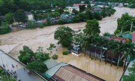 Nhiều nhà sập, sụt lún do mưa lớn ở miền núi Nghệ An