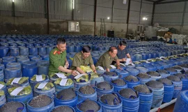 Sao hóa chất ngâm hoa quả, đầu độc bằng xyanua dễ dàng vậy?