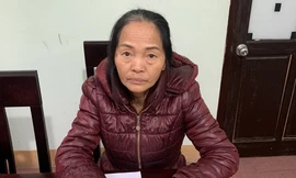 Bắt người phụ nữ thu lợi hơn 800 triệu từ cho vay 'lãi mẹ đẻ lãi con'