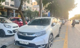 Thành phố Vinh đề xuất thu phí dừng, đỗ xe ô tô