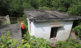 Nhà máy nước tiền tỉ bị bỏ quên giữa heo hút rừng tràm 