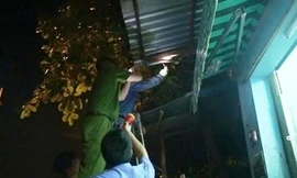 Ảnh minh họa