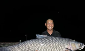 Đại gia chi 50 triệu đồng mua 'thủy quái' trắm đen hơn 40 kg 