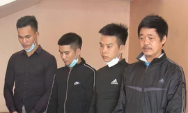 Bắt nhóm đạo chích thực hiện hàng chục vụ trộm gỗ quý