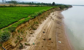 Bờ sông Lam sạt lở nghiêm trọng, cuốn trôi nhiều diện tích đất