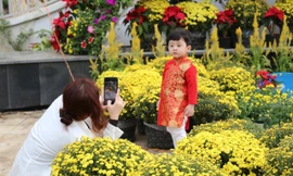 Khoác ‘áo mới’ cho thành phố Vinh những ngày áp Tết