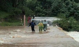 Về quê tránh dịch, người đàn ông tử vong khi đi bắt cá