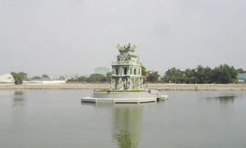 Vẫn đang tìm cách cứu 'cụ' Rùa