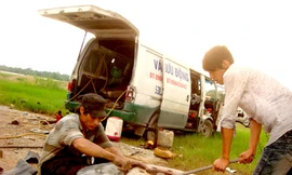 Vá vỏ lưu động, đến ngay!