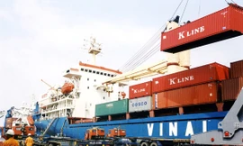 Một con tàu Vinalines Ảnh: Đình Thắng