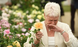 Nguy hại khôn lường khi cố chặn cơn hắt hơi